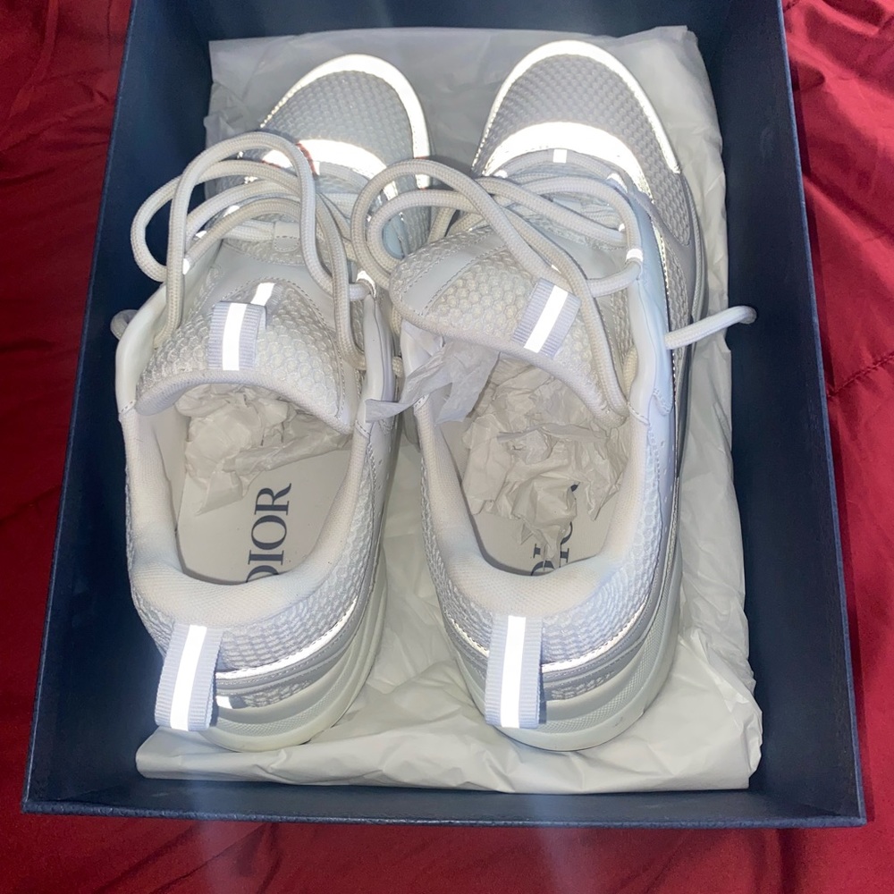 Dior B22